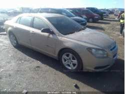 CHEVROLET MALIBU 1G1ZB5EB3AF136512