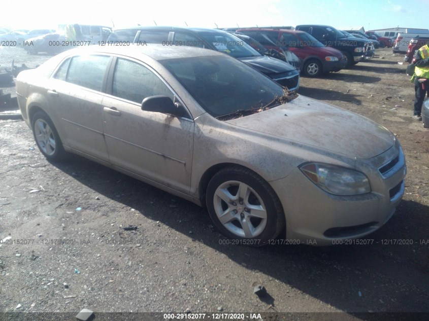 CHEVROLET MALIBU 1G1ZB5EB3AF136512