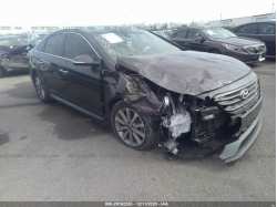 HYUNDAI SONATA 5NPE34AF4HH453446