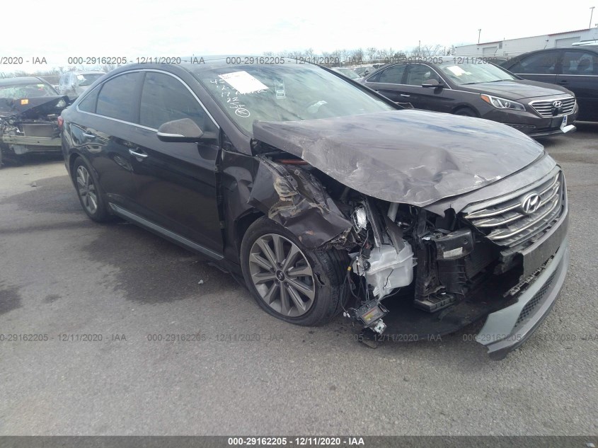 HYUNDAI SONATA 5NPE34AF4HH453446