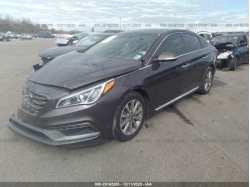HYUNDAI SONATA 5NPE34AF4HH453446