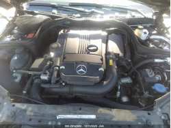 MERCEDES-BENZ C-CLASS WDDGJ4HB6EG266099