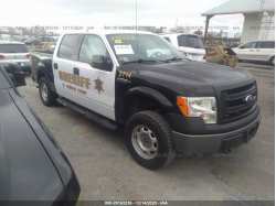 FORD F-150 1FTFW1EF1EKE33835