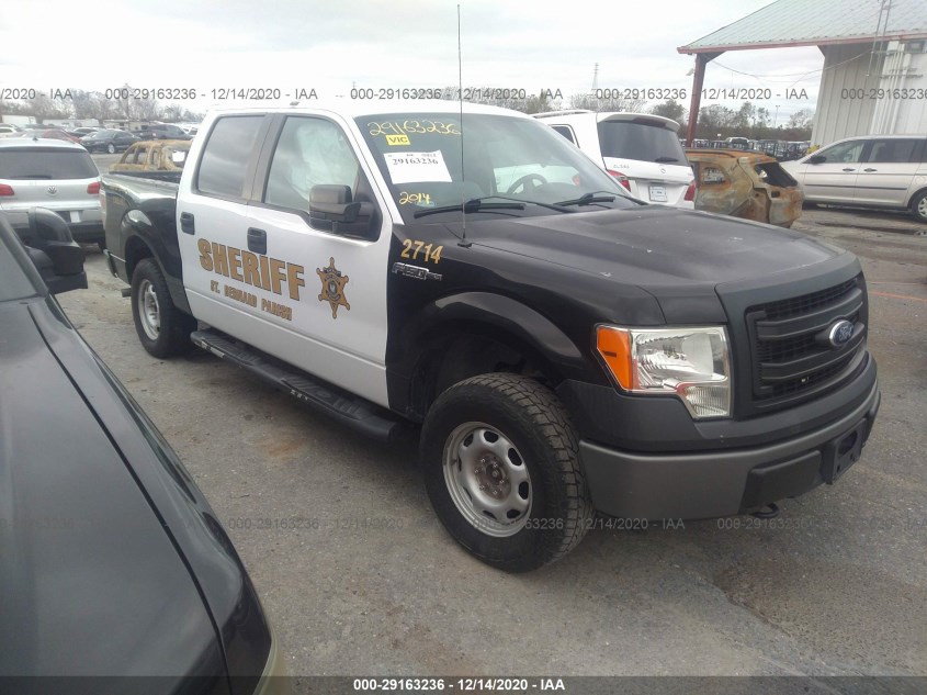 FORD F-150 1FTFW1EF1EKE33835