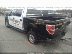 FORD F-150 1FTFW1EF1EKE33835