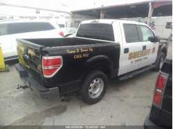 FORD F-150 1FTFW1EF1EKE33835