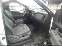 FORD F-150 1FTFW1EF1EKE33835
