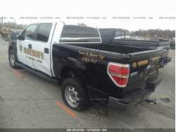 FORD F-150 1FTFW1EF1EKE33835