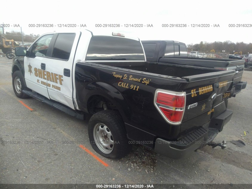 FORD F-150 1FTFW1EF1EKE33835