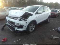 FORD ESCAPE 1FMCU9G99EUE54866