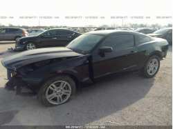 FORD MUSTANG 1ZVBP8AM0C5281435