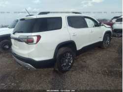 GMC ACADIA 1GKKNMLS6KZ133959