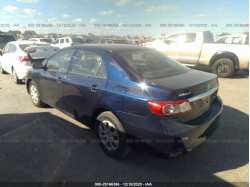 TOYOTA COROLLA 5YFBU4EE8DP175911