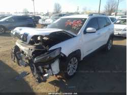 JEEP CHEROKEE 1C4PJLCB7KD482438