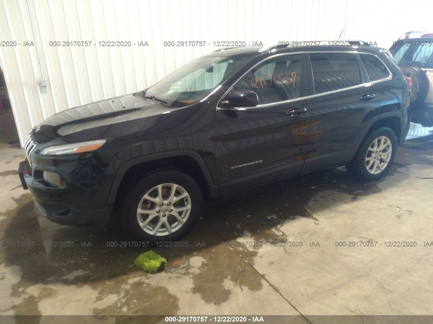 JEEP CHEROKEE 1C4PJMCS3EW229776