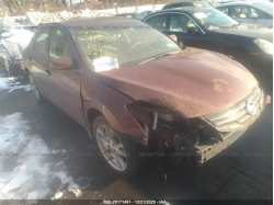NISSAN ALTIMA 1N4AL2AP8BN499256