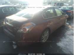 NISSAN ALTIMA 1N4AL2AP8BN499256