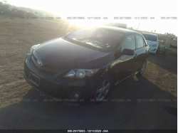 TOYOTA COROLLA 2T1BU4EEXBC619898