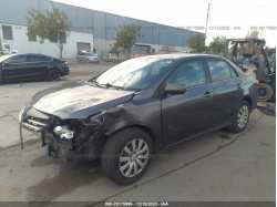 TOYOTA COROLLA 5YFBU4EE7DP160753
