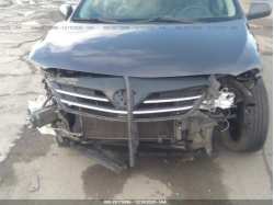 TOYOTA COROLLA 5YFBU4EE7DP160753