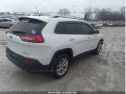 JEEP CHEROKEE 1C4PJLCB6EW186626