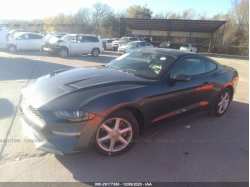 FORD MUSTANG 1FA6P8TH0K5151227