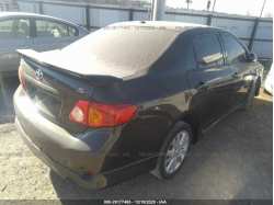 TOYOTA COROLLA 2T1BU4EE0AC428960