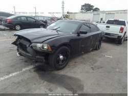 DODGE CHARGER 2C3CDXAG1DH696329