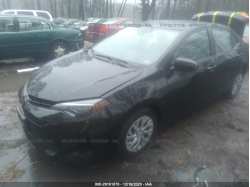 TOYOTA COROLLA 2T1BURHE5JC058257