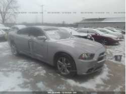 DODGE CHARGER 2C3CDXJG1EH164189
