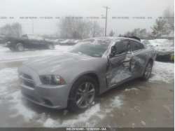 DODGE CHARGER 2C3CDXJG1EH164189
