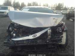 KIA OPTIMA KNAGM4A77F5544350
