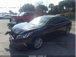 HYUNDAI SONATA 5NPE24AF4FH172893