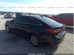 HYUNDAI SONATA 5NPE24AF4FH172893