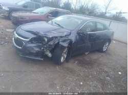 CHEVROLET MALIBU 1G11C5SL0EF122287