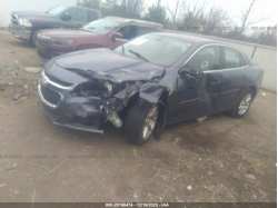 CHEVROLET MALIBU 1G11C5SL0EF122287