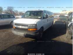 CHEVROLET EXPRESS PASSENGER 1GAZG1FF3F1225495