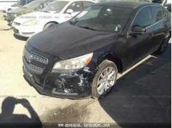 CHEVROLET MALIBU 1G11E5SA3DU125784