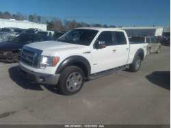FORD F-150 1FTFW1ET3BFC64198