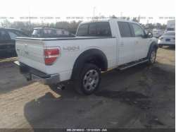 FORD F-150 1FTFW1ET3BFC64198