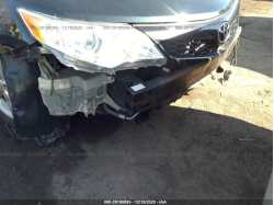 TOYOTA CAMRY 4T1BF1FK7EU429461