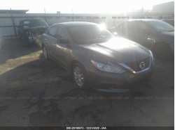 NISSAN ALTIMA 1N4AL3AP1HN344403