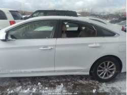 HYUNDAI SONATA 5NPE24AF9JH615919