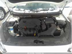 HYUNDAI SONATA 5NPE24AF9JH615919