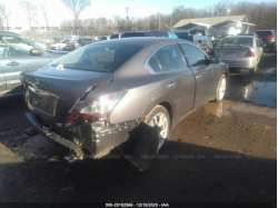 NISSAN MAXIMA 1N4AA5AP2EC435012