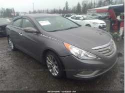 HYUNDAI SONATA 5NPEC4AB7DH559025
