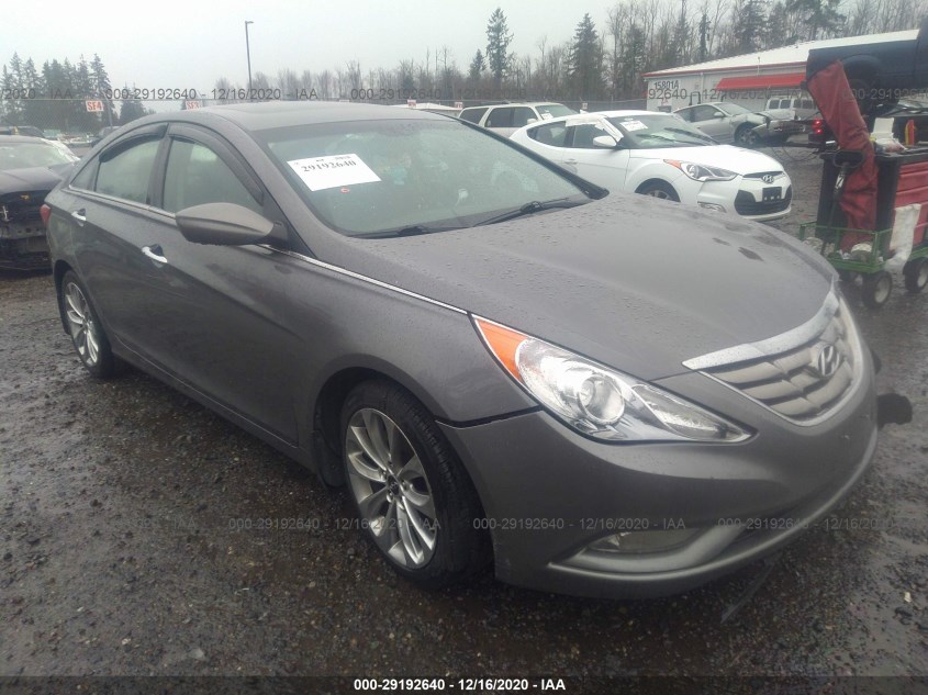 HYUNDAI SONATA 5NPEC4AB7DH559025