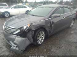 HYUNDAI SONATA 5NPEC4AB7DH559025