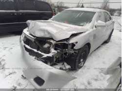 TOYOTA CAMRY 4T1BF3EK0BU135392