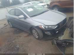 HYUNDAI ELANTRA 5NPD74LF4HH197161